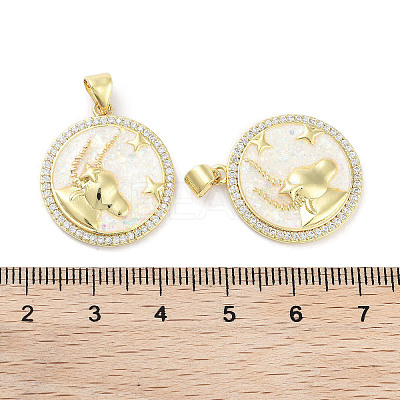 Brass Micro Pave Clear Cubic Zirconia Pendants KK-L213-010G-08-1