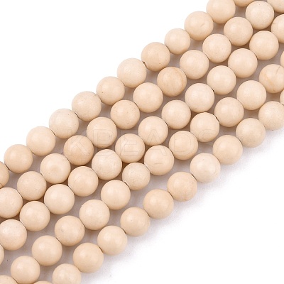 Natural Fossil Beads Strands LS-G-E110-6mm-2-1