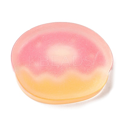 Translucent Resin Imitation Food Decoden Cabochons RESI-H147-01O-1