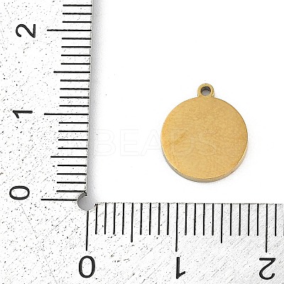 304 Stainless Steel Enamel Charms STAS-I325-044G-1