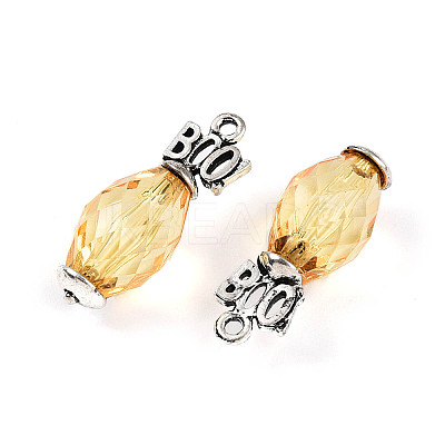 Transparent Acrylic Pendants SACR-N013-010A-RS-1
