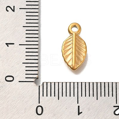Ion Plating(IP) 304 Stainless Steel Charms STAS-P371-029G-1