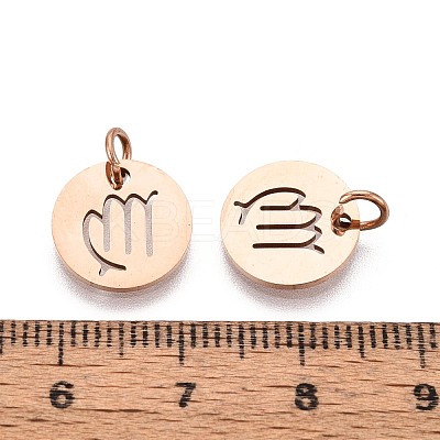 304 Stainless Steel Charms STAS-Q201-T445-6R-1