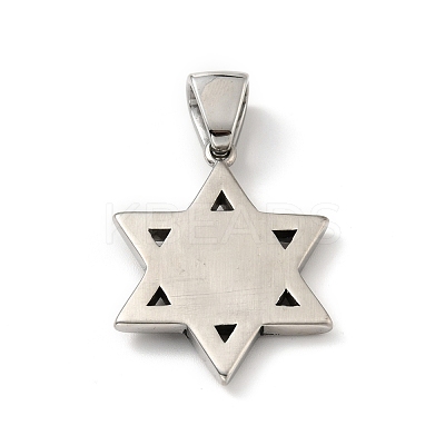Non-Tarnish 304 Stainless Steel Pendants STAS-E058-13P-1