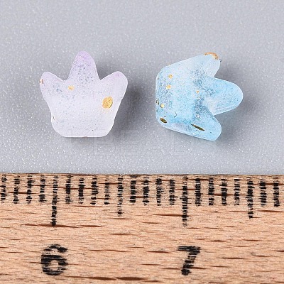 Frosted Transparent Acrylic Beads FACR-T009-01B-1