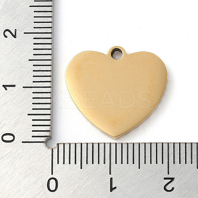 Ion Plating(IP) 304 Stainless Steel Pendants STAS-D025-01G-01-1
