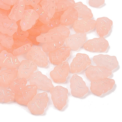 Frosted Transparent Acrylic Beads OACR-P029-04B-03-1