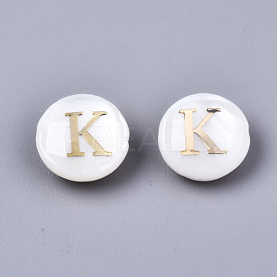 Natural Freshwater Shell Beads SHEL-S266-12K-1