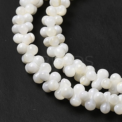 Natural Freshwater Shell Beads Strands BSHE-E026-17-1