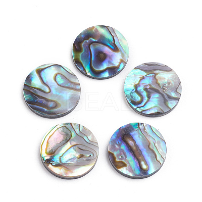 Natural Abalone Shell/Paua Shell Cabochons X-SSHEL-L017-001-1