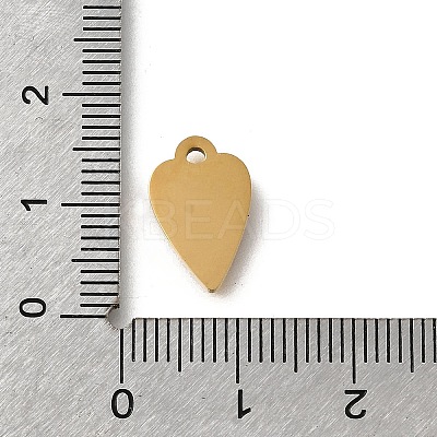 304 Stainless Steel Enamel Charms LS-STAS-V006-04G-02-1