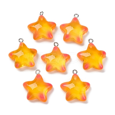 Marine Series Transparent Resin Pendants RESI-E031-02P-05-1