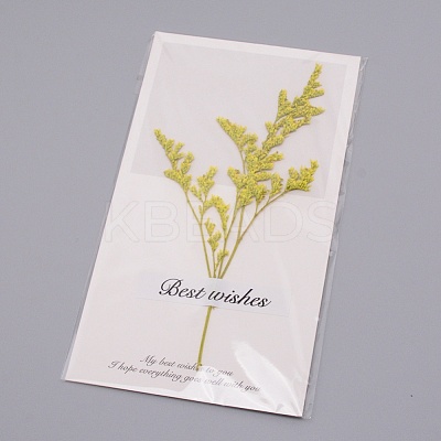 Paper Cards DIY-WH0183-41B-1