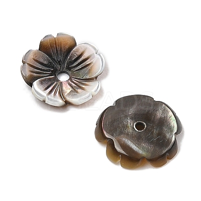 Natural Black Lip Shell Carved Beads SSHEL-I026-12A-04-1