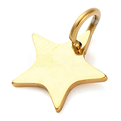 304 Stainless Steel Charms STAS-Q331-01E-1