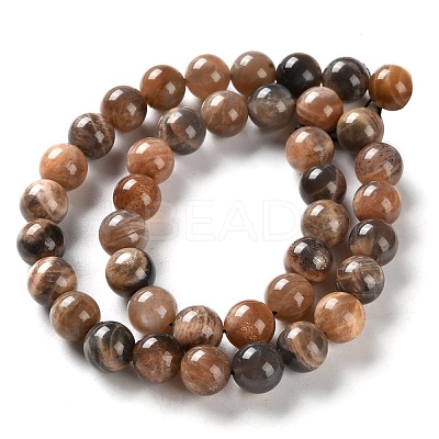 Natural Black Sunstone Beads Strands G-U009-A01-04-1