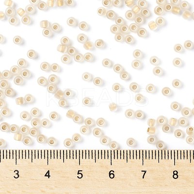 TOHO Round Seed Beads X-SEED-TR08-0989FM-1