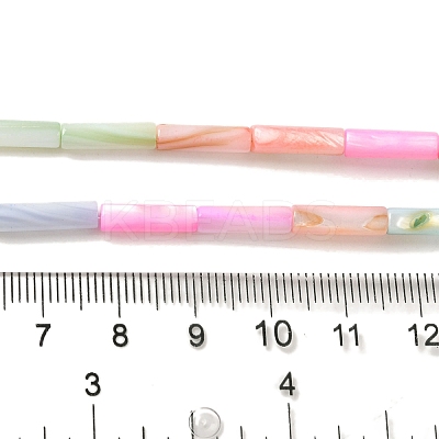 Rainbow Color Dyed Natural Freshwater Shell Beads Strands SHEL-G018-02B-1
