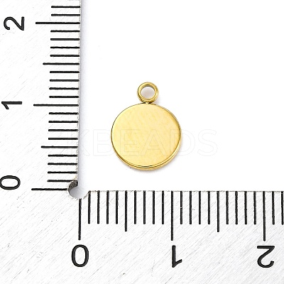 304 Stainless Steel Charms STAS-S163-14G-1