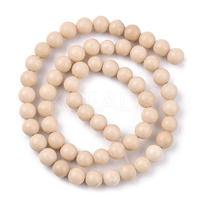 Natural Fossil Beads Strands LS-G-E110-6mm-2-1