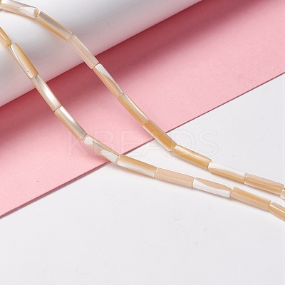 Natural Trochid Shell/Trochus Shell Beads SSHEL-O001-26A-1
