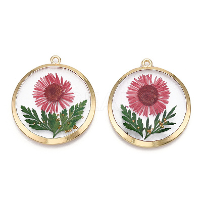 Alloy Epoxy Resin Pendants X1-PALLOY-TAC0044-82-1