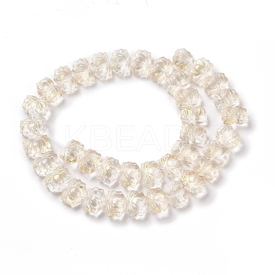 Transparent Glass Beads Strands GLAA-F114-01B-1