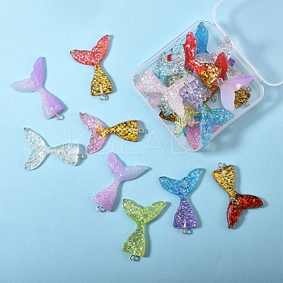 Resin Pendants CRES-SC0001-04-1