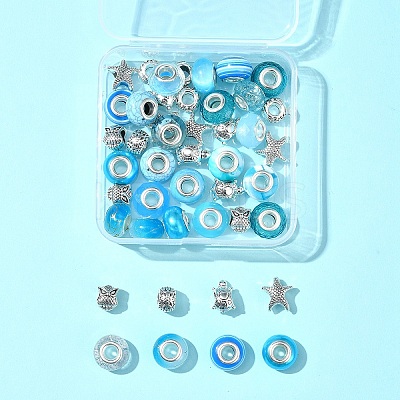 DIY Tibetan Style Alloy & Resin European Beads Making Finding Kits DIY-FS0006-78F-1