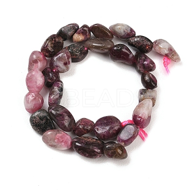 Natural Plum Blossom Tourmaline Beads Strands G-K395-B11-01-1