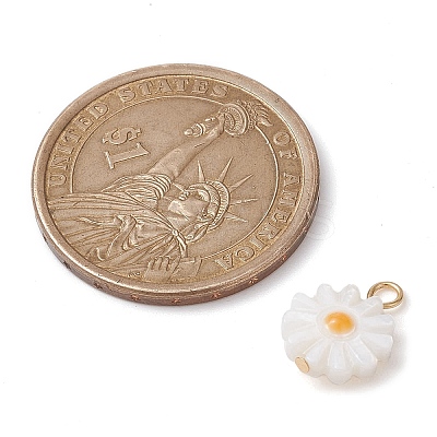 Natural Freshwater Shell Flower Charms with Golden Plated 304 Stainless Steel Loops PALLOY-JF02444-1