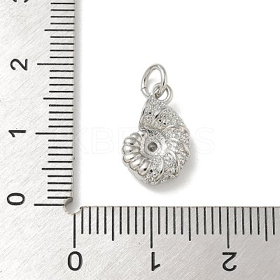 Brass Micro Pave Clear Cubic Zirconia Pendants LS-KK-U046-02P-02-1