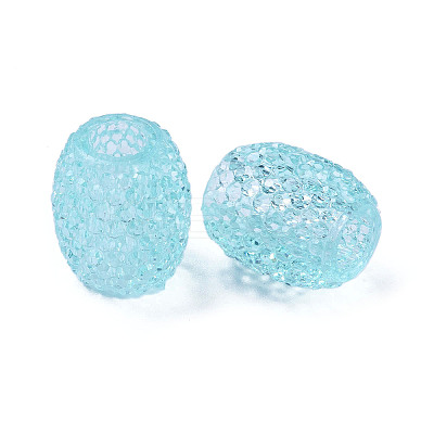 Transparent Resin European Jelly Colored Beads RESI-B025-01A-11-1
