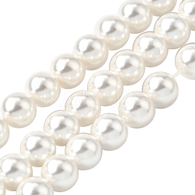 Rainbow Plated Shell Pearl Bead Strands BSHE-L025-02-10mm-1