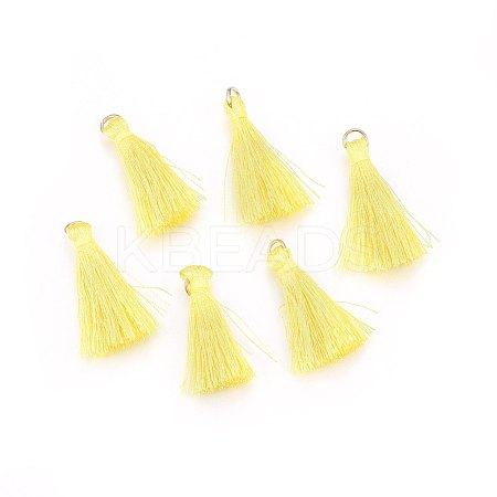Polyester Tassel Pendant Decorations FIND-L003-A10-1