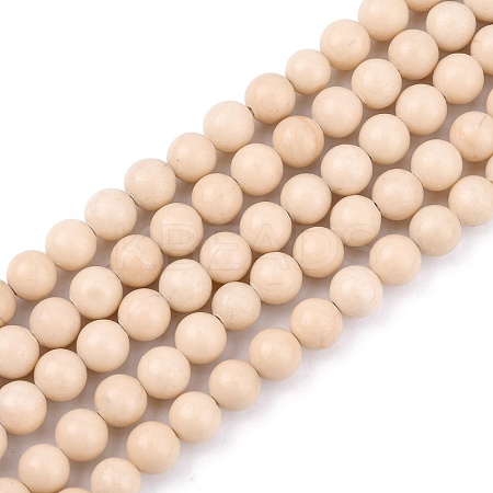 Natural Fossil Beads Strands LS-G-E110-6mm-2-1