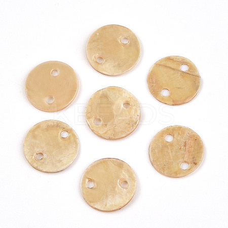 Spray Painted Natural Capiz Shell Connector Charms SSHEL-N039-03E-1