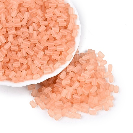 FGB Frosted Transparent Glass Seed Beads SEED-N013-05A-04-1