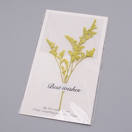 Paper Cards DIY-WH0183-41B-1