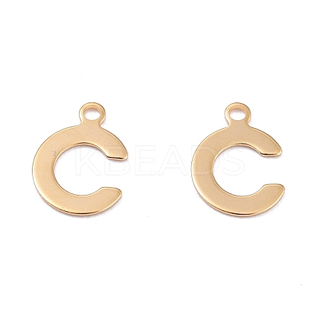 201 Stainless Steel Charms STAS-C021-06G-C-1