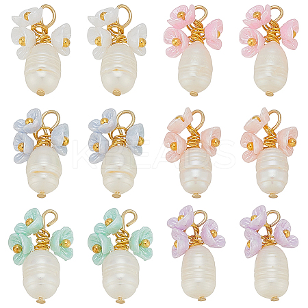 12Pcs 6 Colors Resin & Natural Pearl Pendant PALLOY-PH01821-1