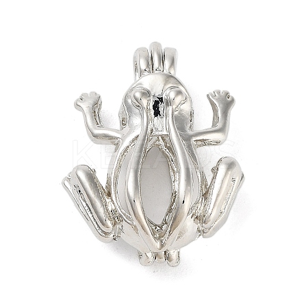 Alloy Bead Cage Pendants FIND-M012-01P-P-1