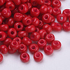 Baking Paint 8/0 Glass Seed Beads SEED-Q025-3mm-L30-2