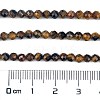 Natural Tiger Eye Beads Strands G-C127-A06-06-4