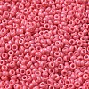 Baking Paint Glass Seed Beads SEED-P006-03A-08-3