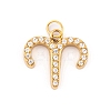 316 Stainless Steel Micro Pave Cubic Zirconia Pendants STAS-K284-01A-G-1
