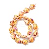 Synthetic Turquoise Dyed Beads Strands G-P507-05J-3