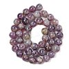 Natural Lepidolite/Purple Mica Stone Beads Strands G-B133-A01-10MM-3
