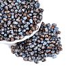 Picasso Glass Seed Beads SEED-N012-10N-1