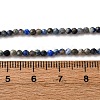 Natural Lapis Lazuli Beads Strands LS-G-L629-B01-2mm-03-5